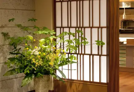 Kinugawa Onsen - 20