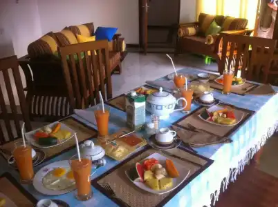 Bee Nest Bed & Breakfast - 16