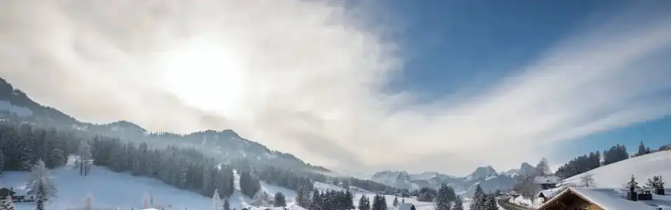 GolfLes Hauts de Gstaad & SPA - 93