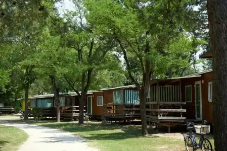 Camping Capalonga - 37