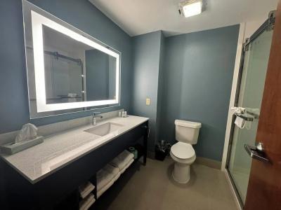 Wingate by Wyndham College Station South - 40