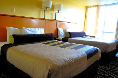B&B Orlando International Drive Near Universal - Newly Renovated! - 88