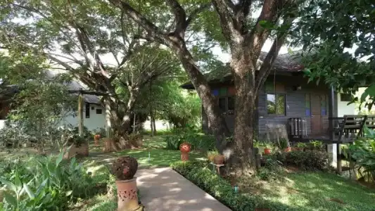 Baan Chai Thung - 81