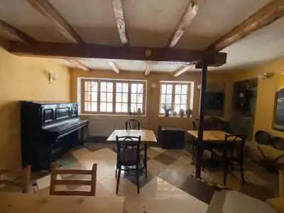 ArtVilla Bakuriani - 49