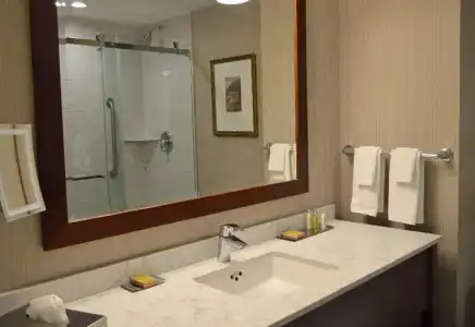 DoubleTree Fallsview Resort & Spa by Hilton Niagara Falls - 40