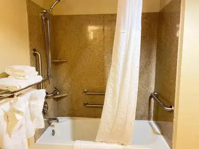 Comfort Suites Fredericksburg North - 42