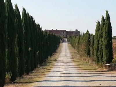Borgo Beccanella - 55
