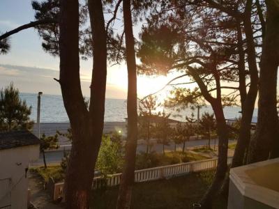 Midia Guest House - 14