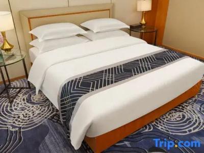 SciTechˑChina NARADA - 228