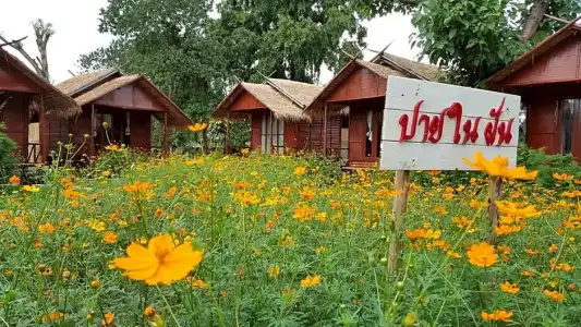 Pai Nam Now Guesthouse - 57