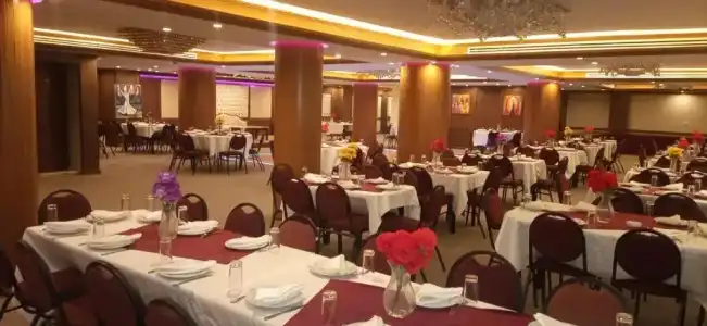 Amman Orchid - 10