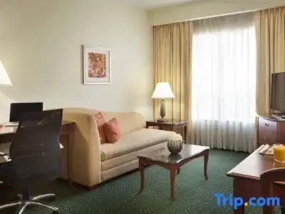 Residence Inn by Marriott Toronto Airport - 59