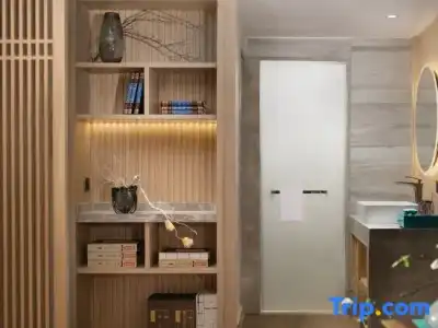 Hôtel Ibis Toulouse Purpan - 64