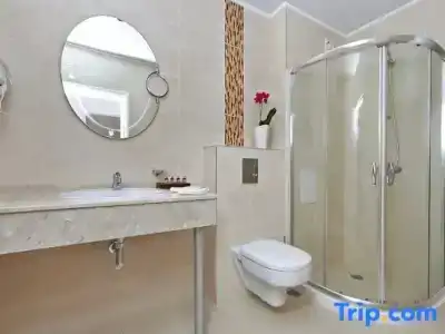 White Rock Castle Suite & SPA - 20