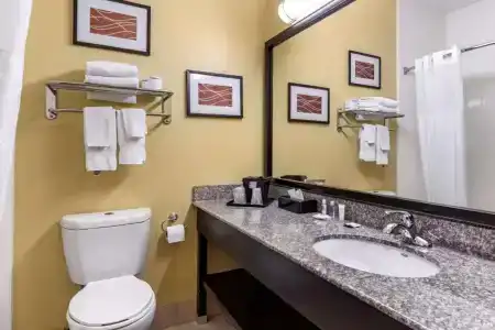 Comfort Inn Austin - 15