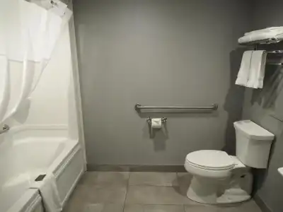 Hôtel & Suites le Dauphin Québec - 101