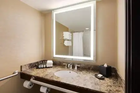 Sheraton Orlando North - 68