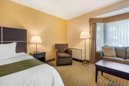 Quality Inn & Suites - 4