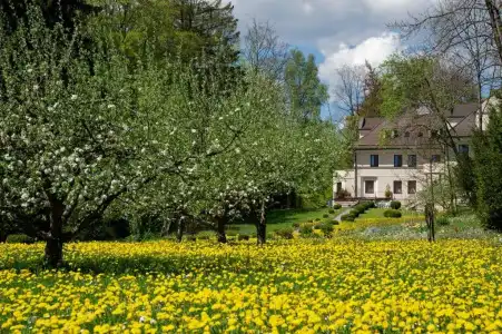 hideautss Der Rosengarten. - 6