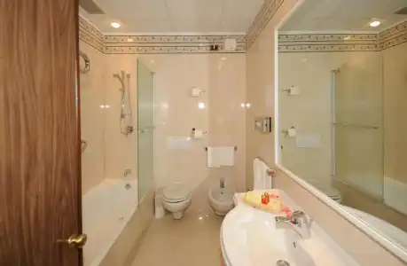 Grand Excelsior - 48