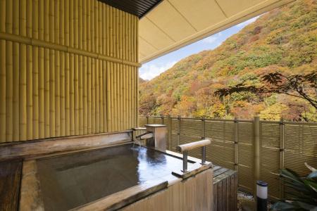 LiVEMAX RESORT KAWAJI - 9
