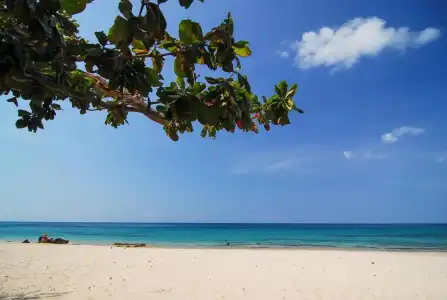 La Laanta Hideaway Resort - 44