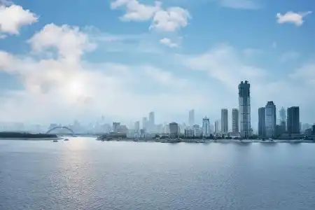 The Westin Wuhan Wuchang - 50