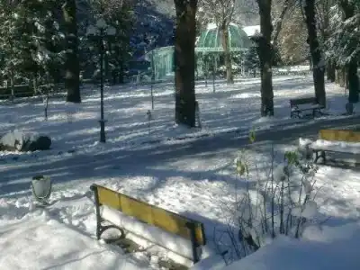 Borjomi-Park - 14