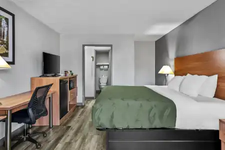 Quality Inn Bowling Green South - 5