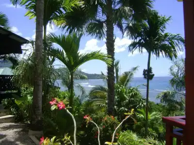 Chalets Bougainville - 30