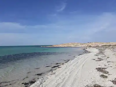 Dar chick yahia - 19
