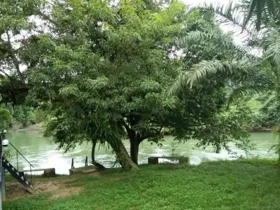 Khaosok River Camp - 53