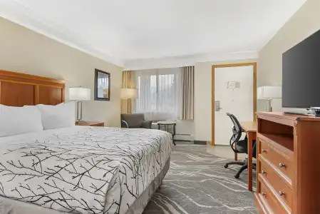 Best Western Plus Silver Saddle Inn - 57