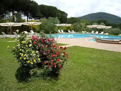 Panoramic - 109