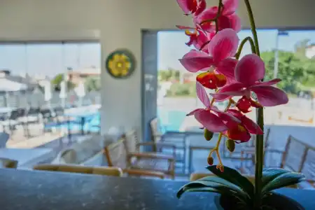Ivory Apartments - 12