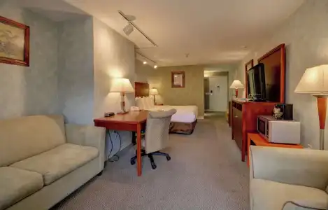 Senator Inn & Spa - 106