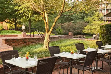 Sheraton Suites Old Town Alexandria - 11
