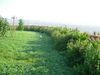 Agriturismo Terra dei Sassi - 1