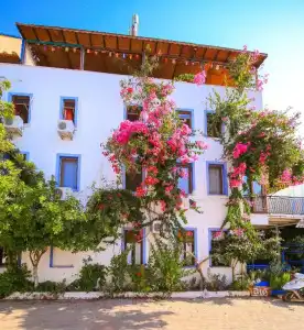 Ates Pension - 18