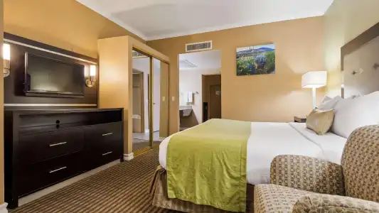 Royal Sun & Suites - 98