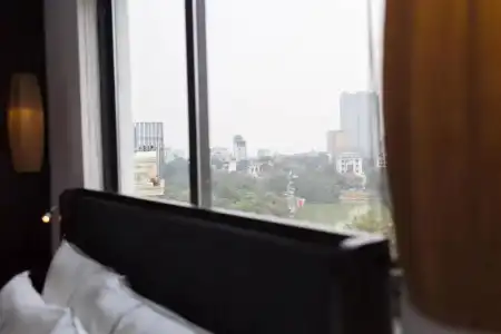 Hanoi Bonsella - 45