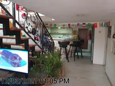 happy pandasN12 - 24