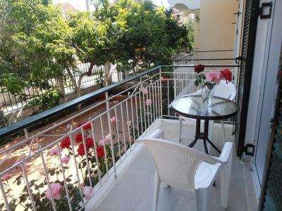 Elenas Garden - 35