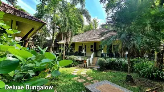 Baan Khaolak Beach Resort (SHA Plus+) - 198