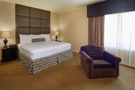 Radisson El Paso Airport - 26