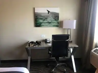 Best Western Plus Peppertree Airport Inn - 49