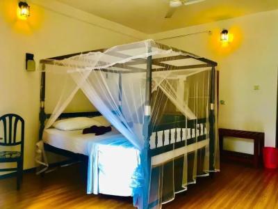 Mirissa Beach Inn - 66