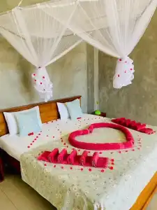 Casa Samaya, Boutique Beachfront in Weligama - 127