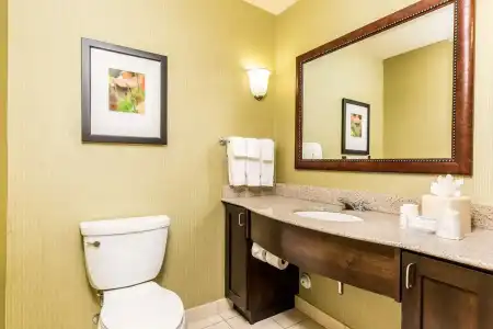Hilton Garden Inn St. George - 67