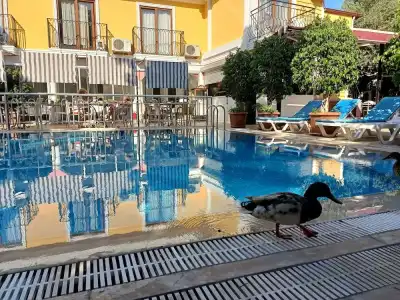 Barlas Fethiye - 21